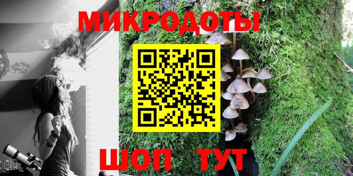 Псилоцибиновые грибы Psilocybe  Галлюциногенные грибы ЛСД  купить  сайты  Дивногорск  Вход с VPN 